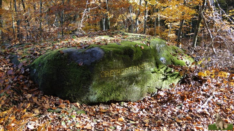 Ritterstein Nr. 057-2 Dreiherrenstein.JPG - Ritterstein Nr.57  Dreiherrenstein